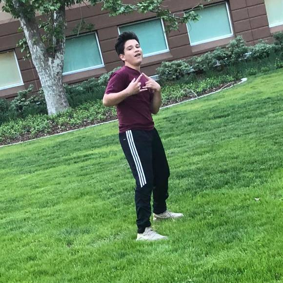 Meet your Posher, Leo - Picture 1 of 1